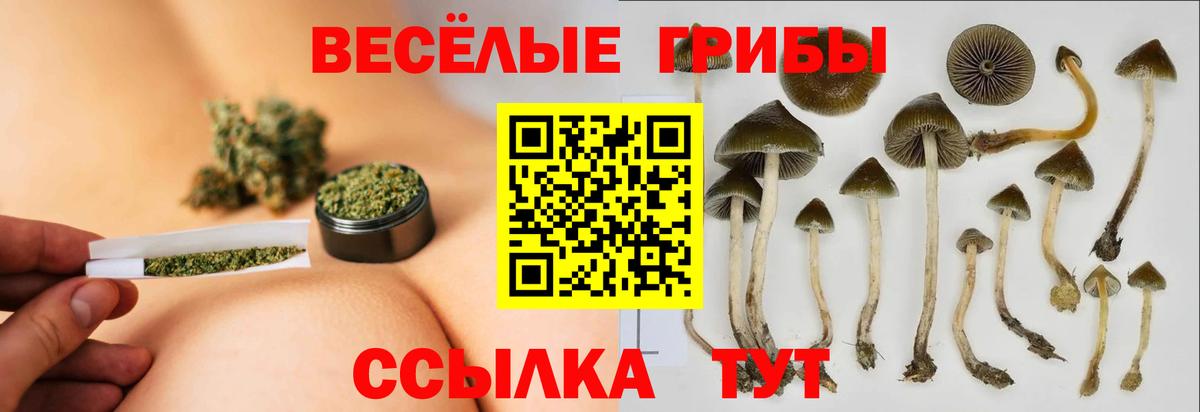 Галлюциногенные грибы Cubensis  Вход с VPN  Галлюциногенные грибы GOLDEN TEACHER  Нягань 
